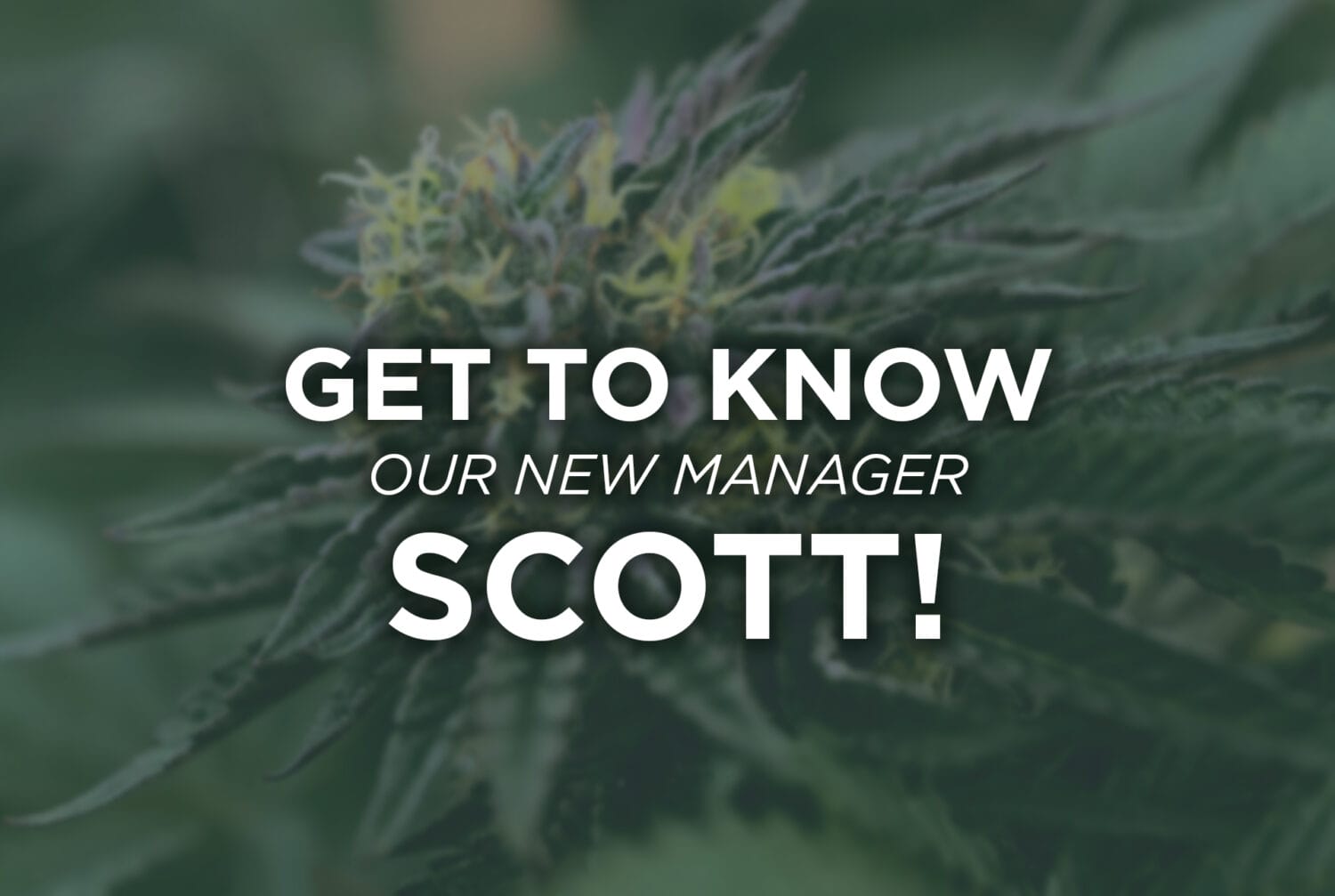 Scott Blog