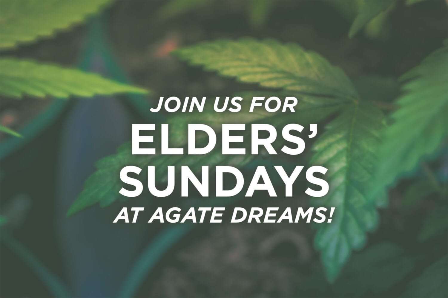 Elders Sunday Reminder 3