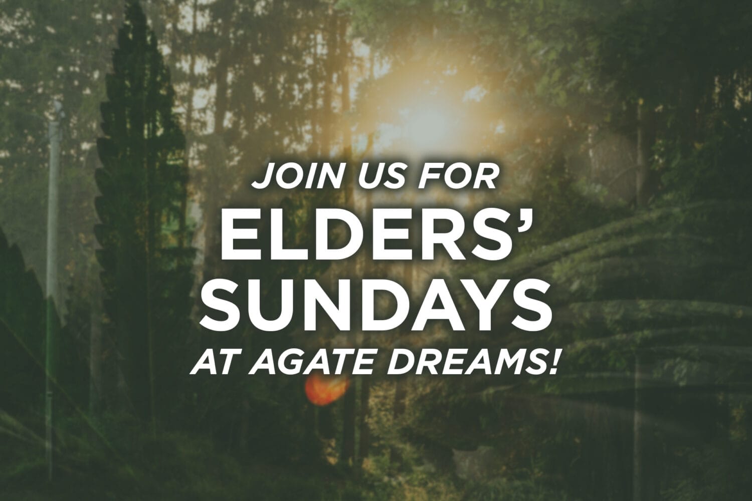 Elders Sunday Reminder 4