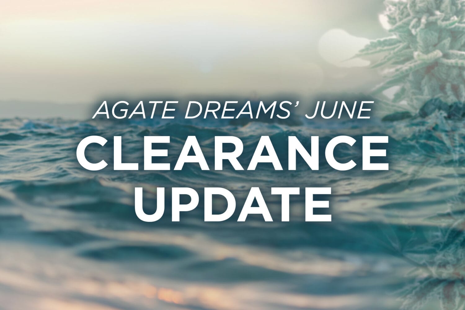 June Clearance Update 3