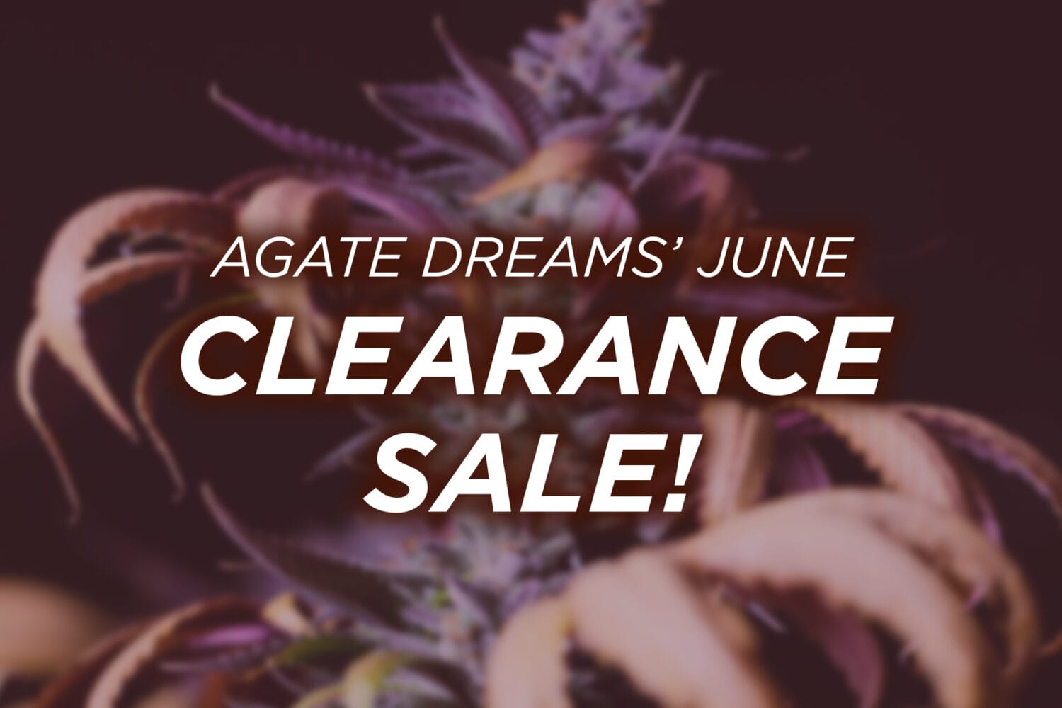 June Clearance Update