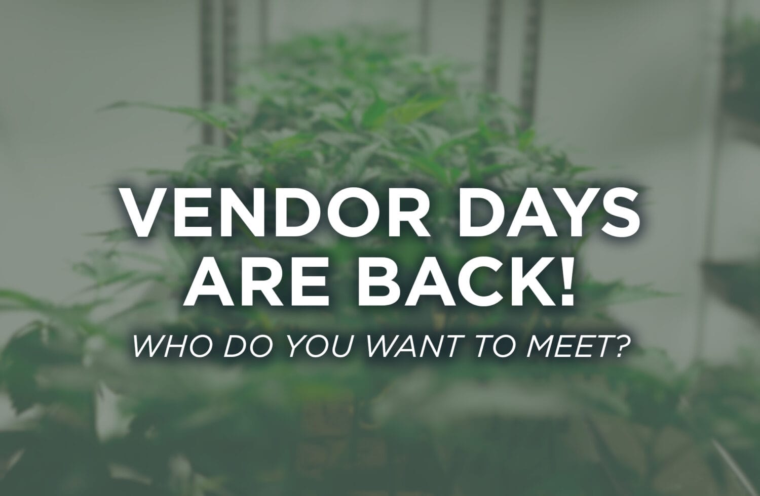 Vendor Days Return