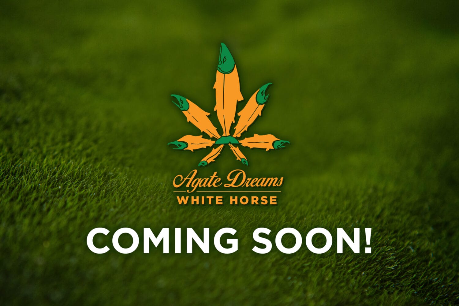 White Horse Announcement