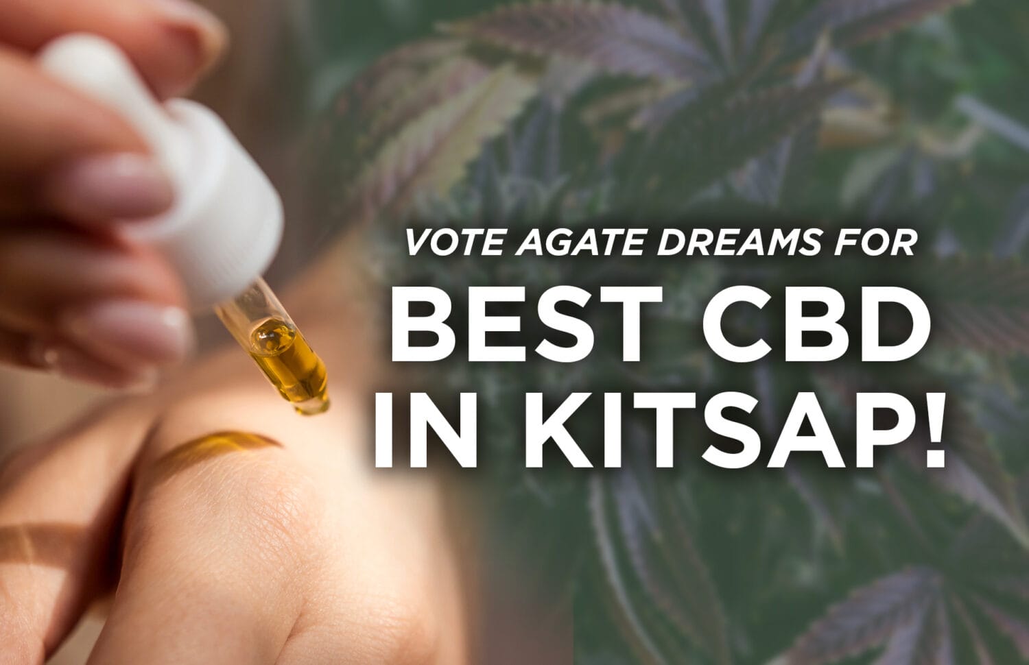 Best CBD In Kitsap v2