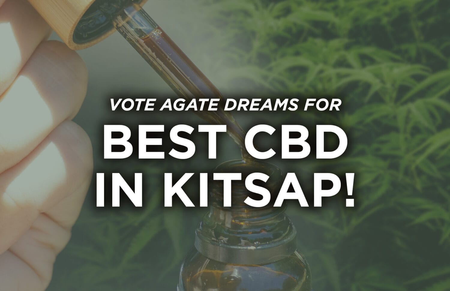 Best CBD In Kitsap