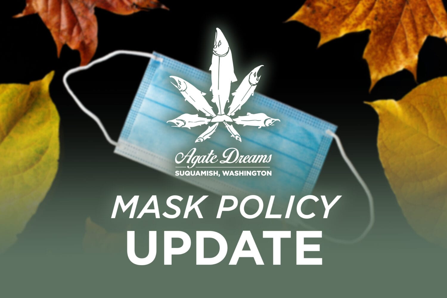 Mask Policy Update 2
