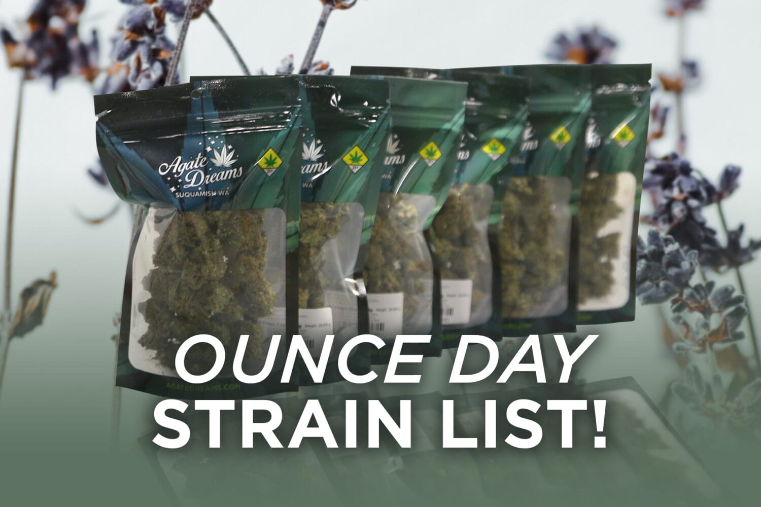 Ounce Day Reminder August 20