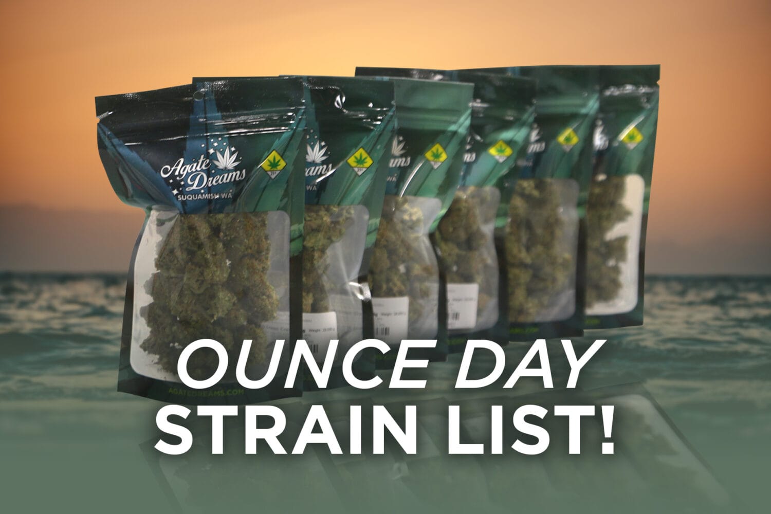 Ounce Day Reminder August
