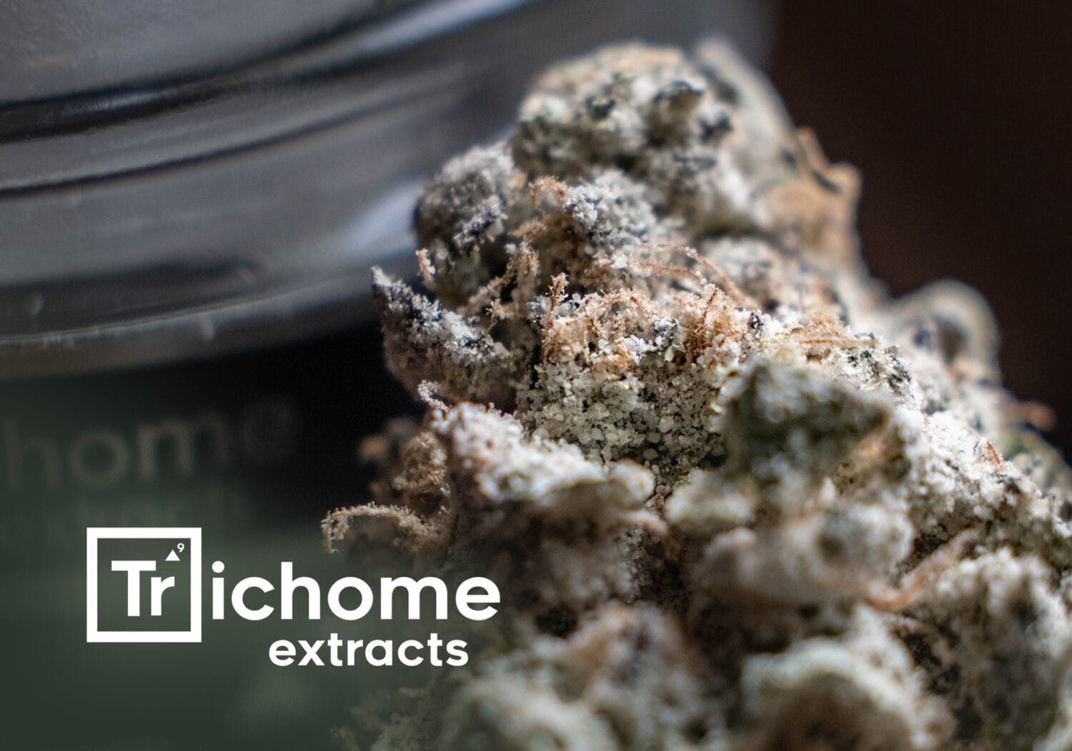 Trichome Extracts Feature