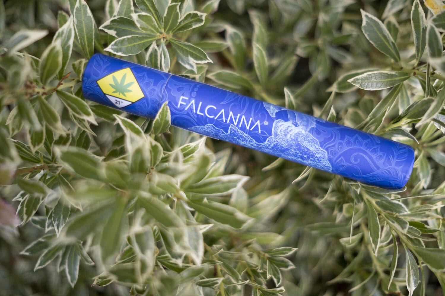 Falcanna Joint Tube