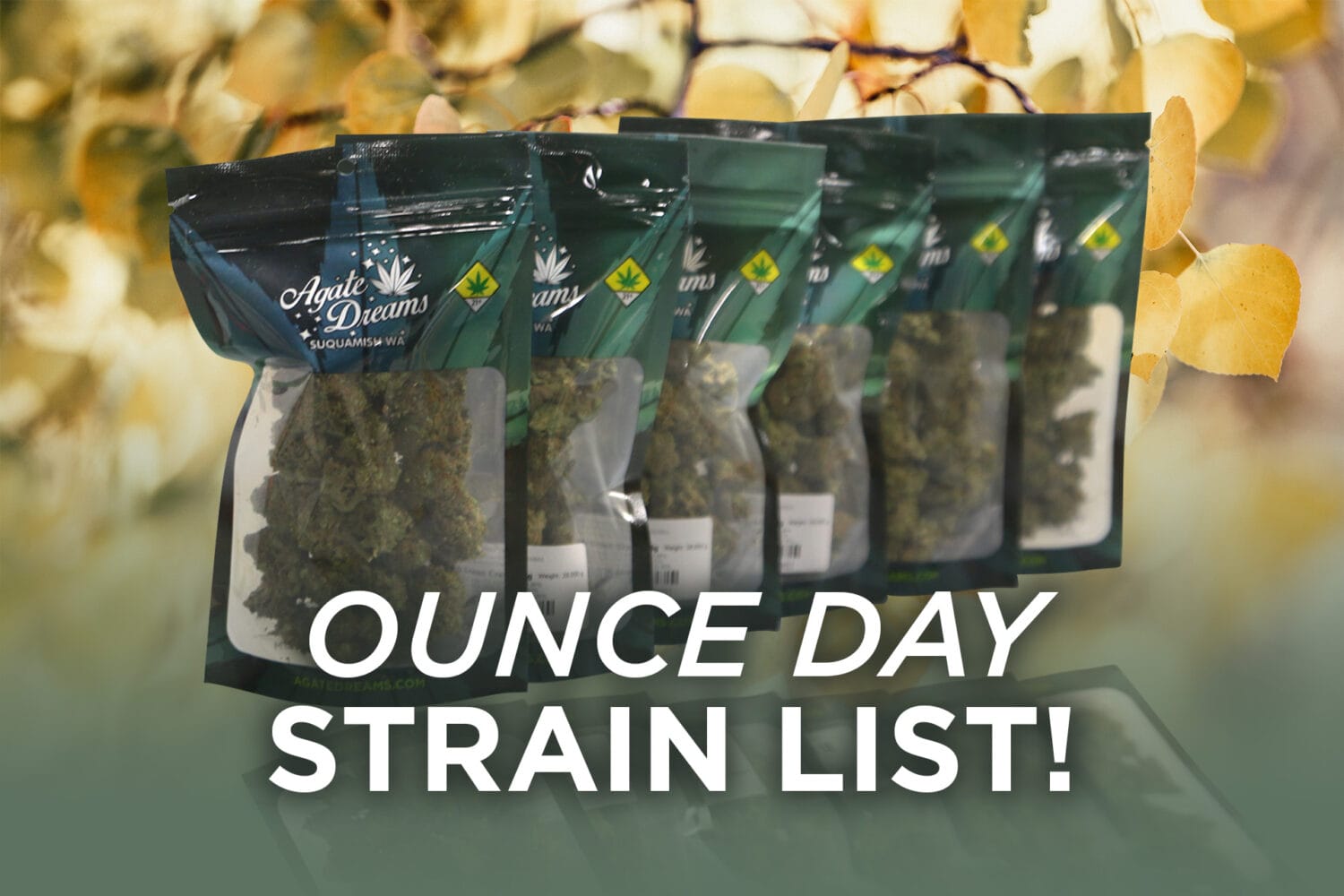 Ounce Day Reminder 9-17