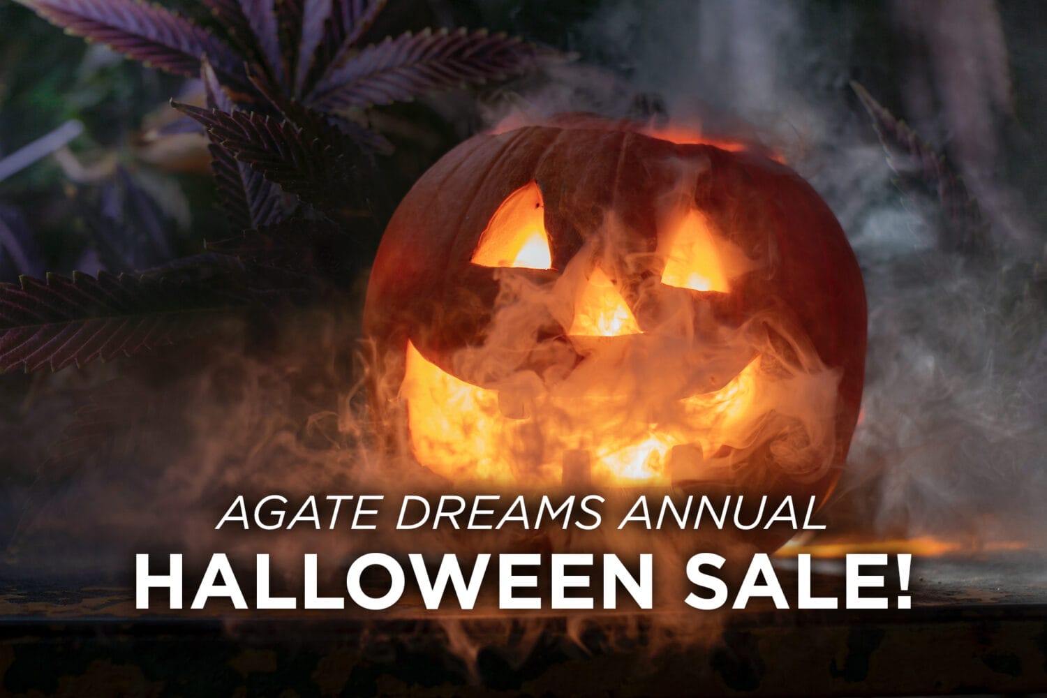 Halloween Sale Teaser