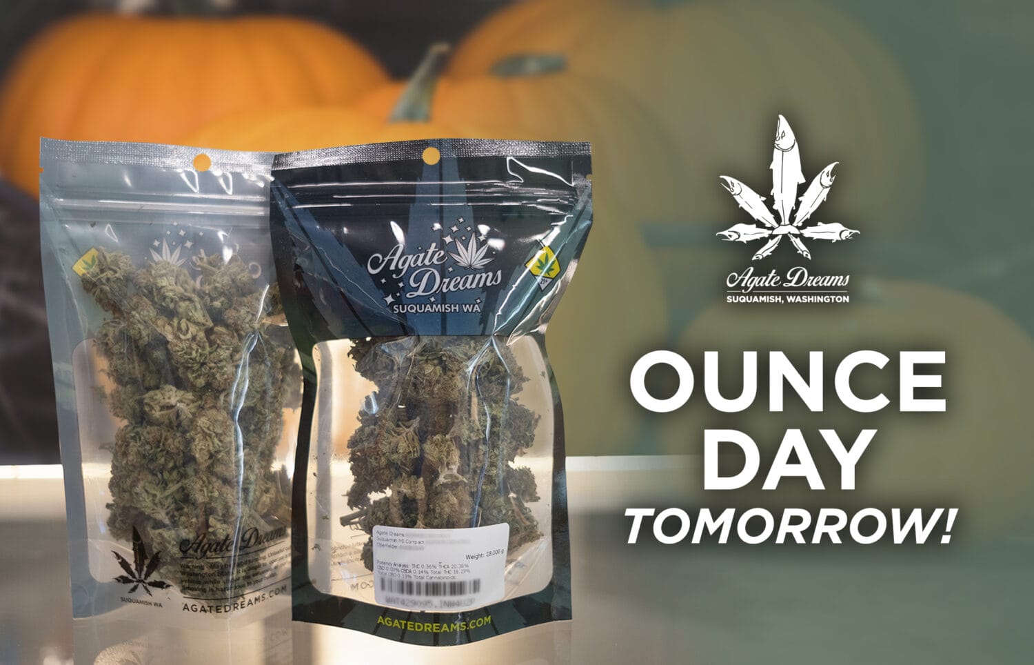 Ounce Day 10-15