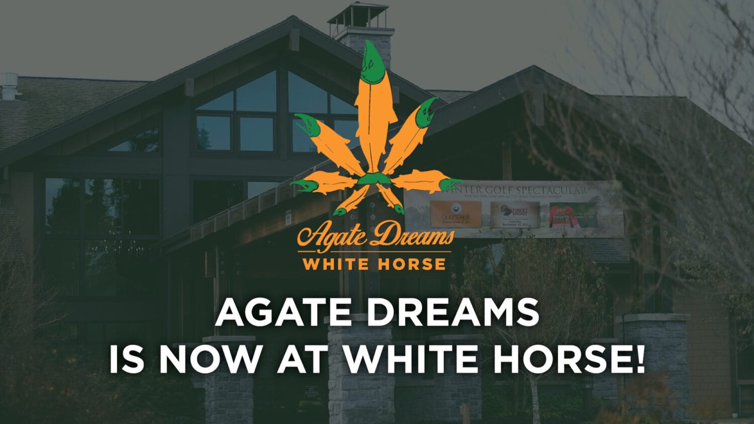 Agate Dreams White Horse