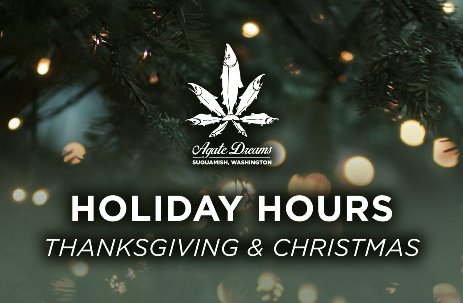 Holiday Hours Banner