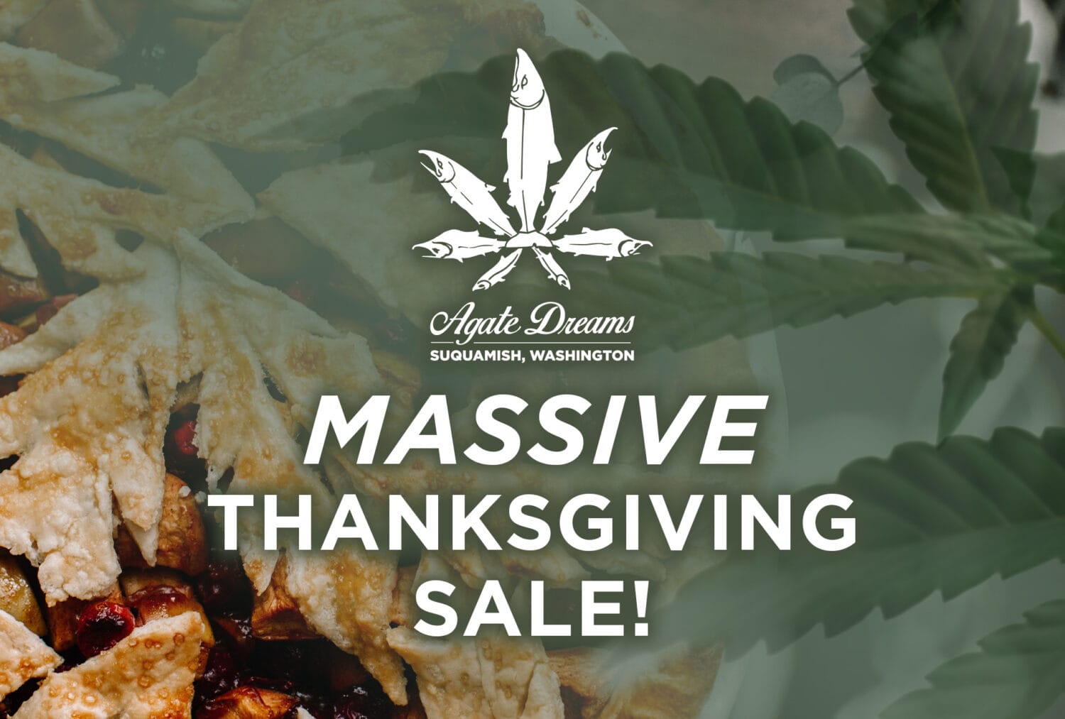 Thanksgiving Sale Day 1