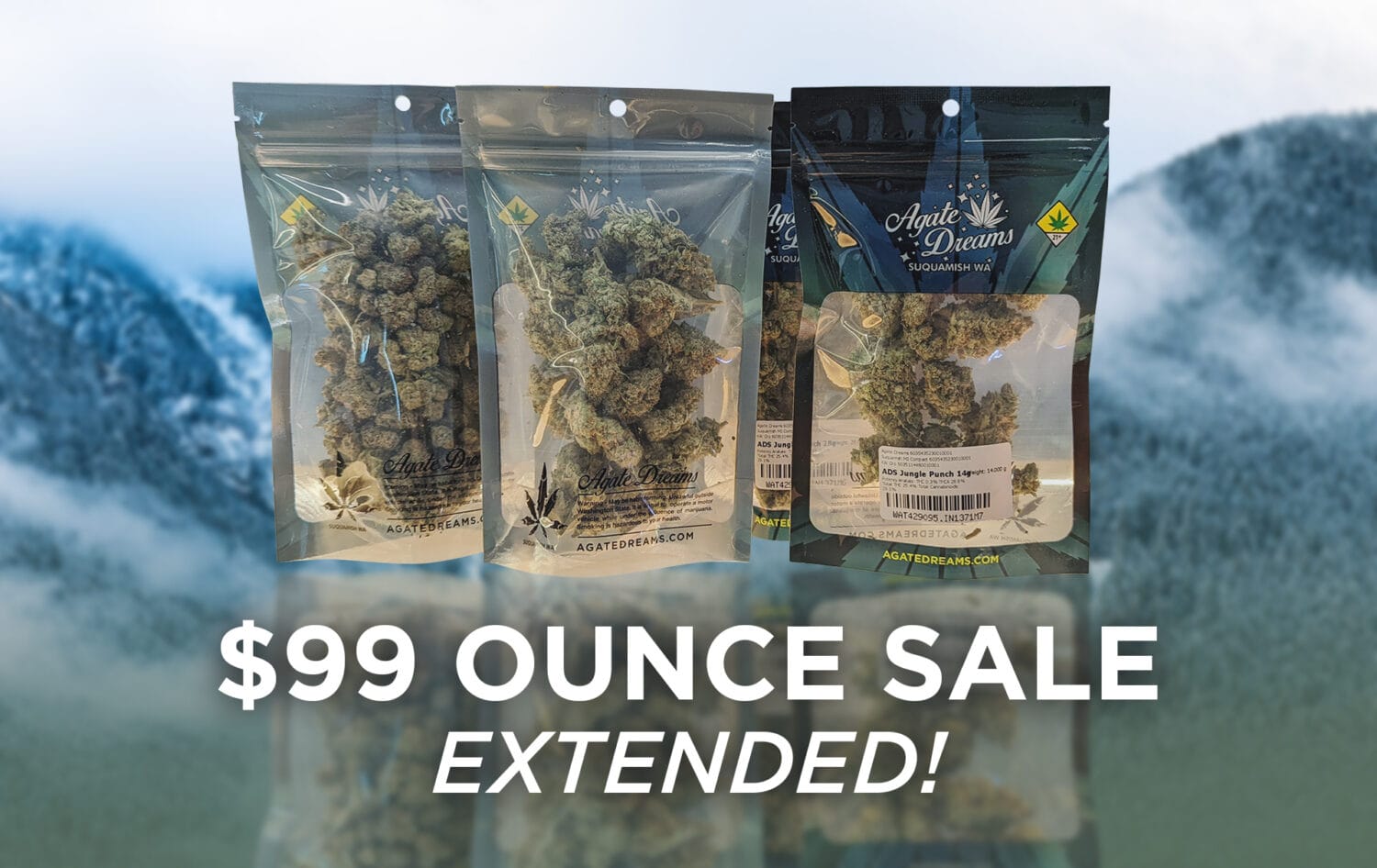$99 Ounce Sale Extended