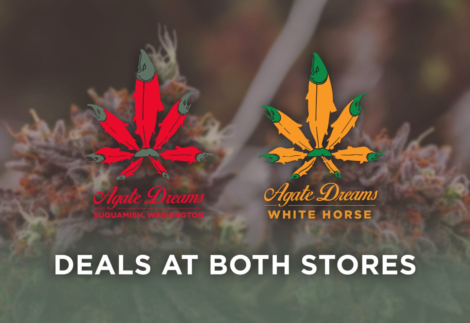 Deals at both Stores