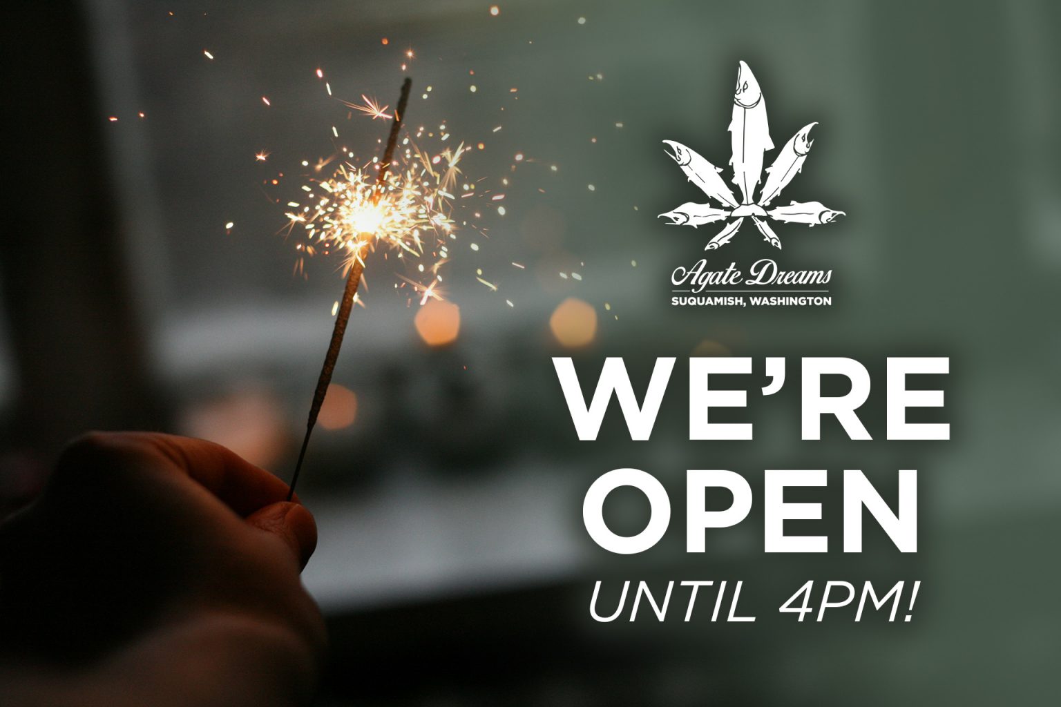 New Year’s Eve Hours! Agate Dreams