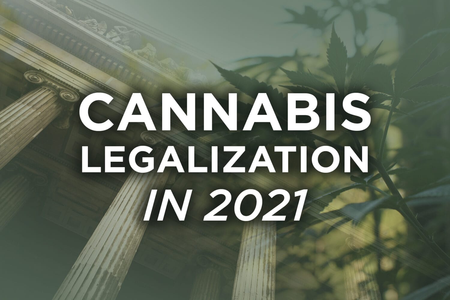 Cannabis Legalization Blog '21 Update