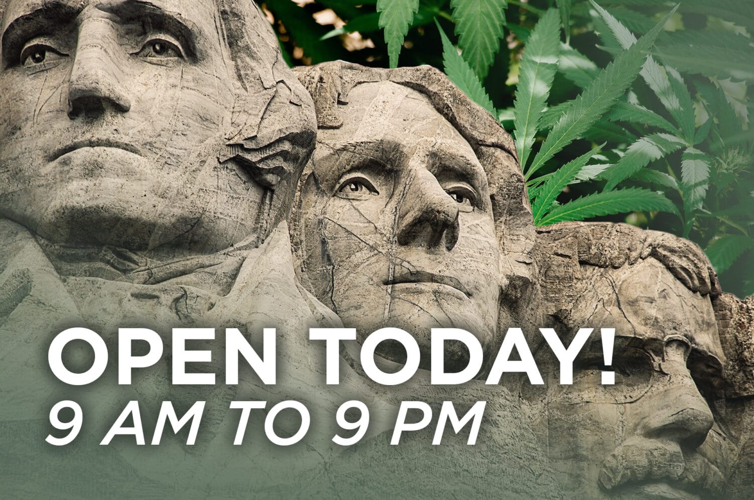 Open For President s Day Hours 9 AM 9 PM Agate Dreams