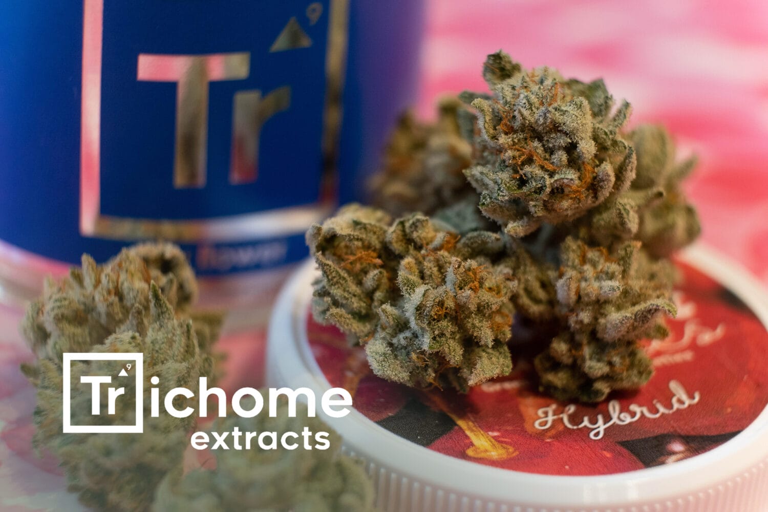 Trichome Sweet Cherries 1