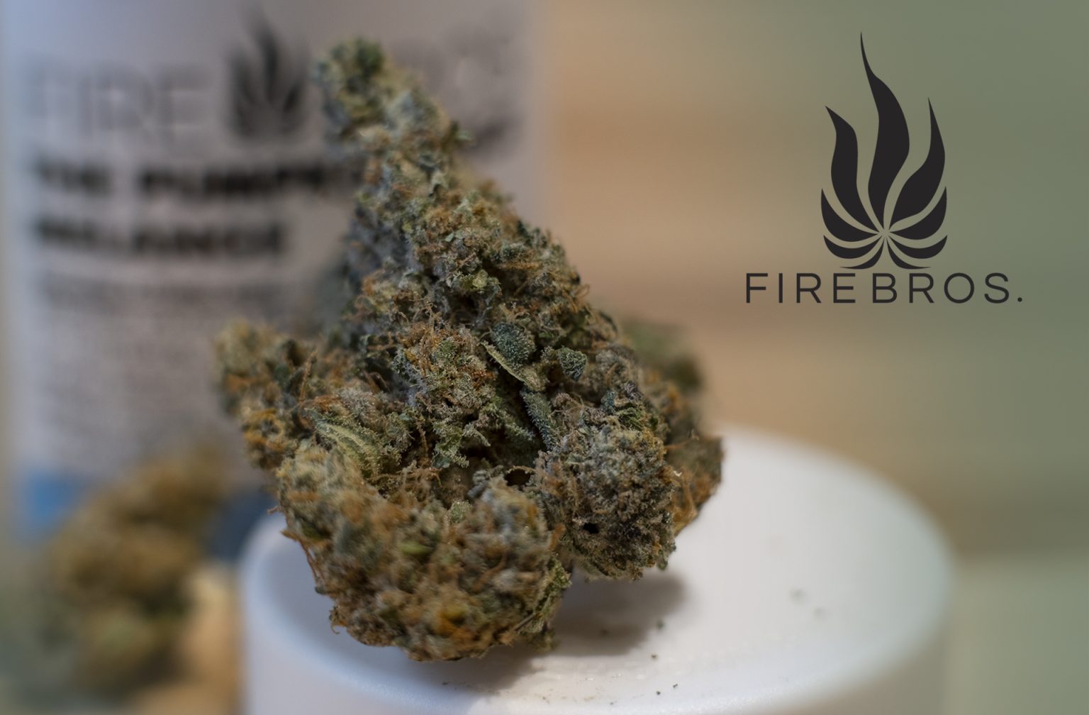 Featured Strain The Pumpkin Spice Melange by Fire Bros. Agate Dreams