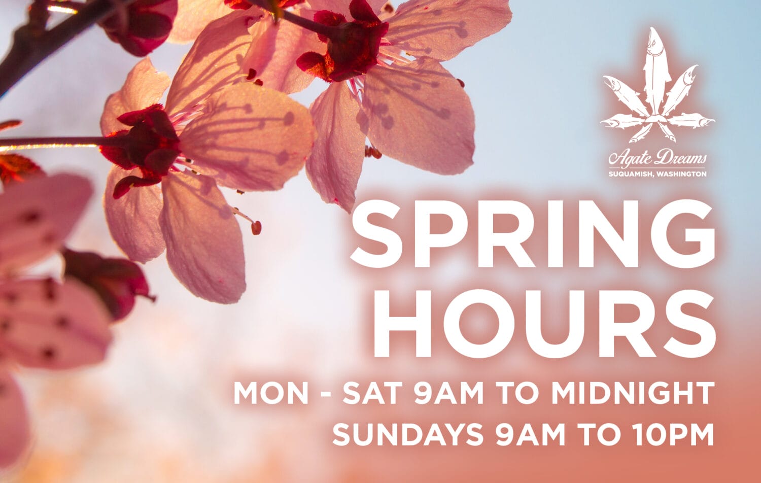 Spring Hours