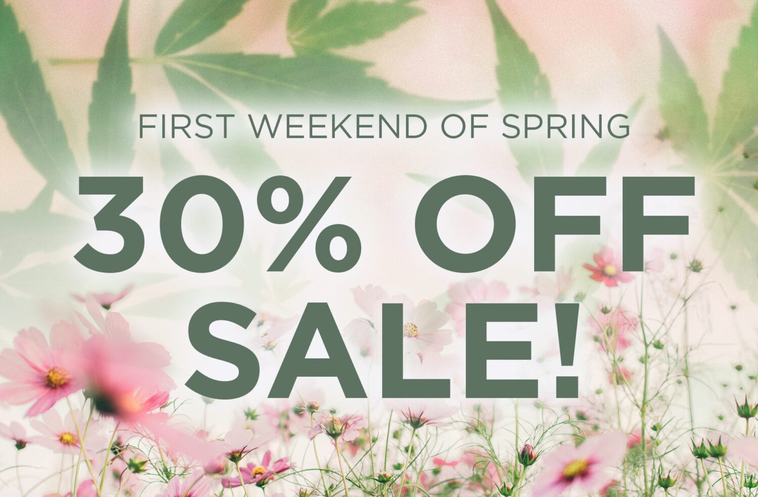 Spring Sale