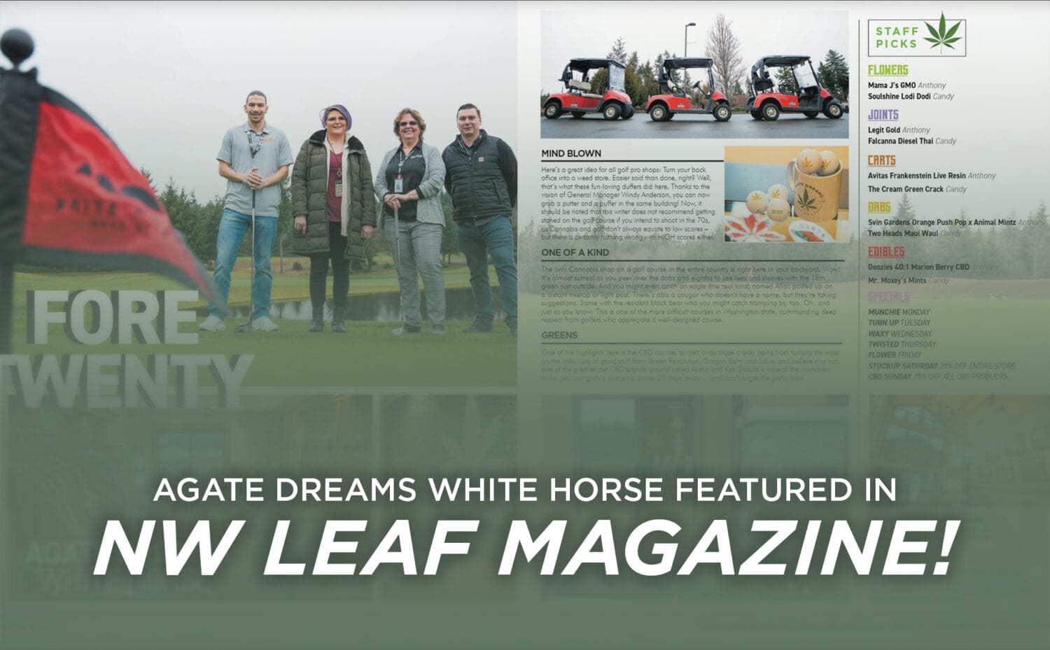 NW Leaf Feature header