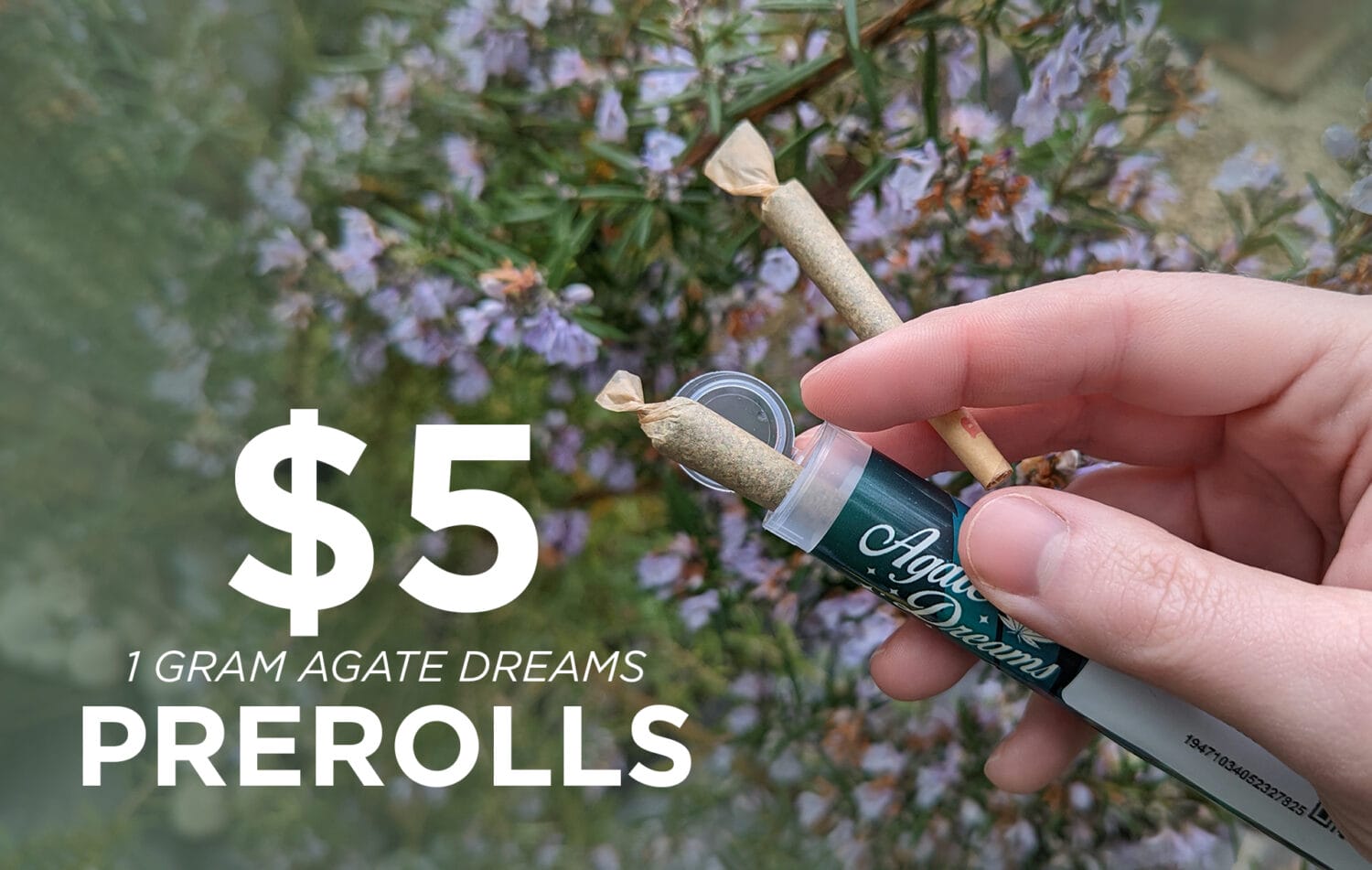 Agate Dreams Prerolls