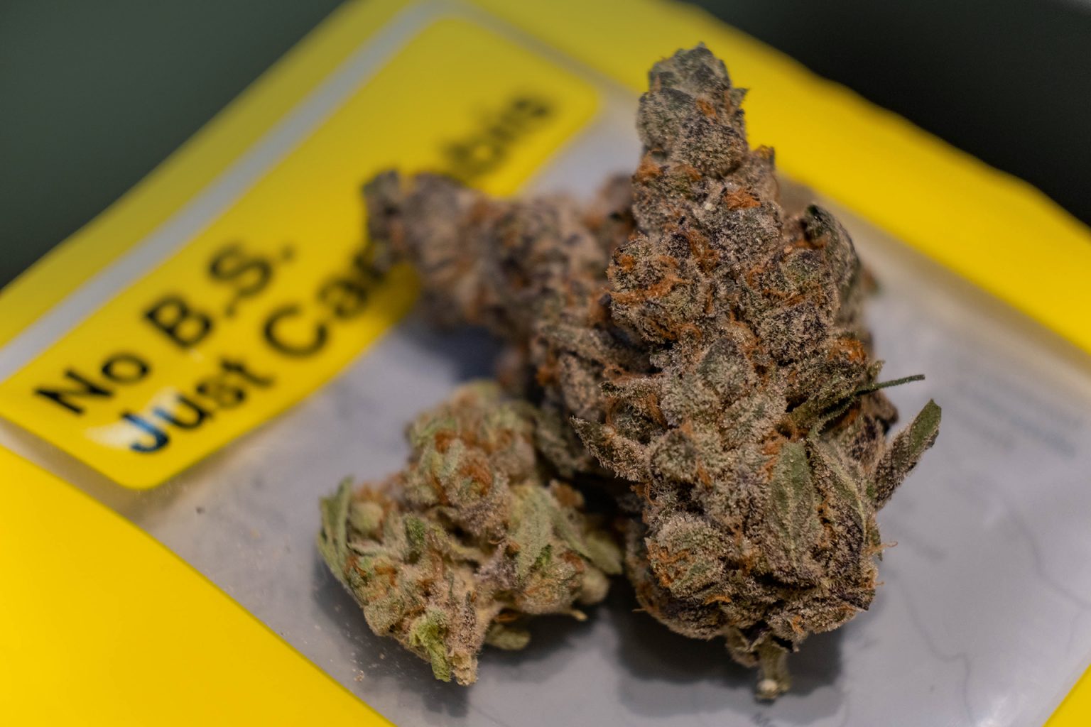 Featured Strain Apple Fritter from Just Cannabis Company! Agate Dreams