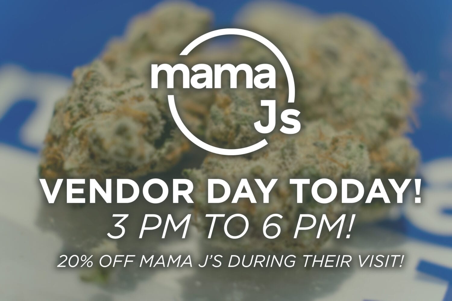 Mama J's Vendor Day Today