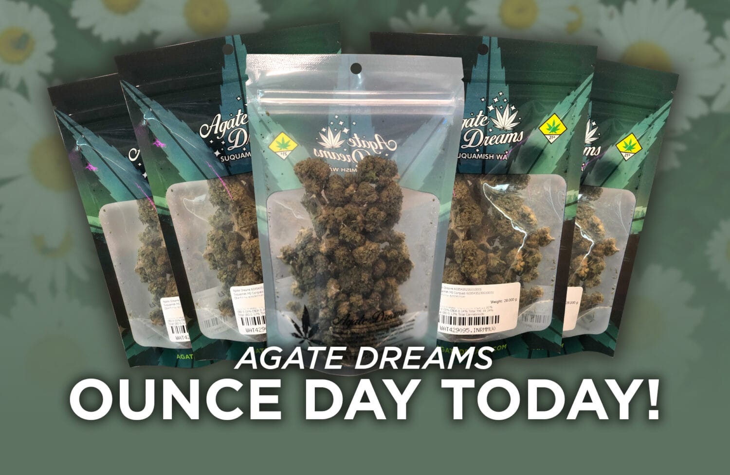 Ounce Day 5-11