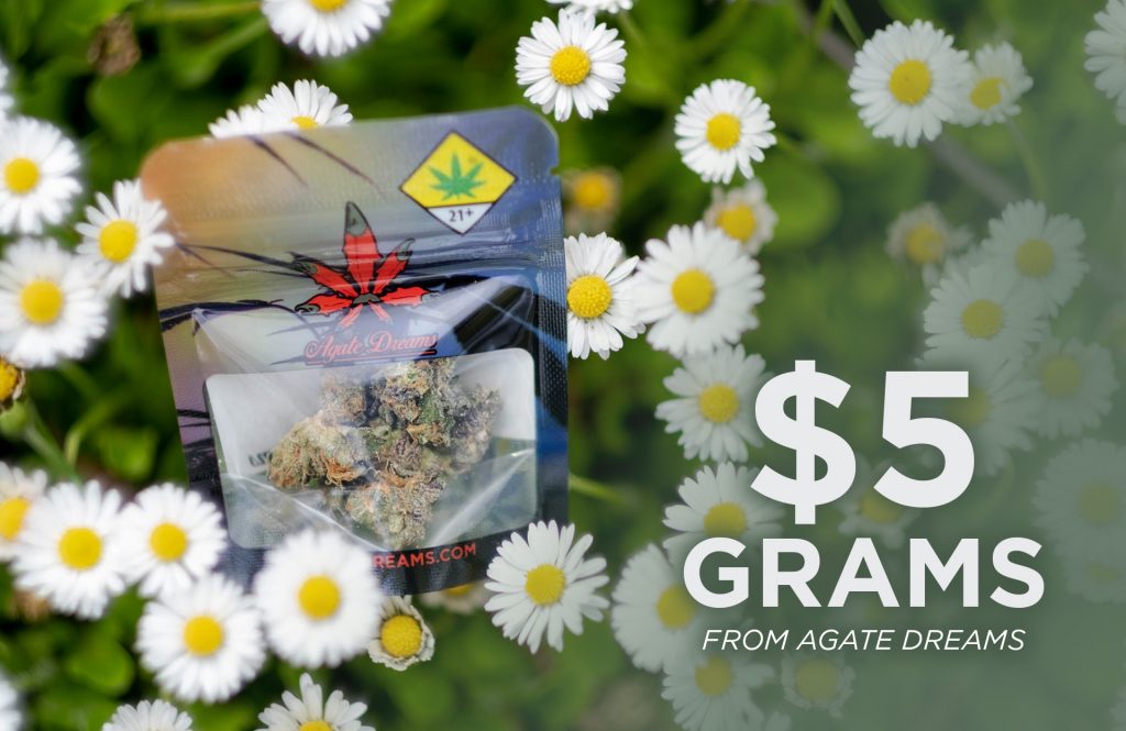 5 Grams from Agate Dreams! Agate Dreams