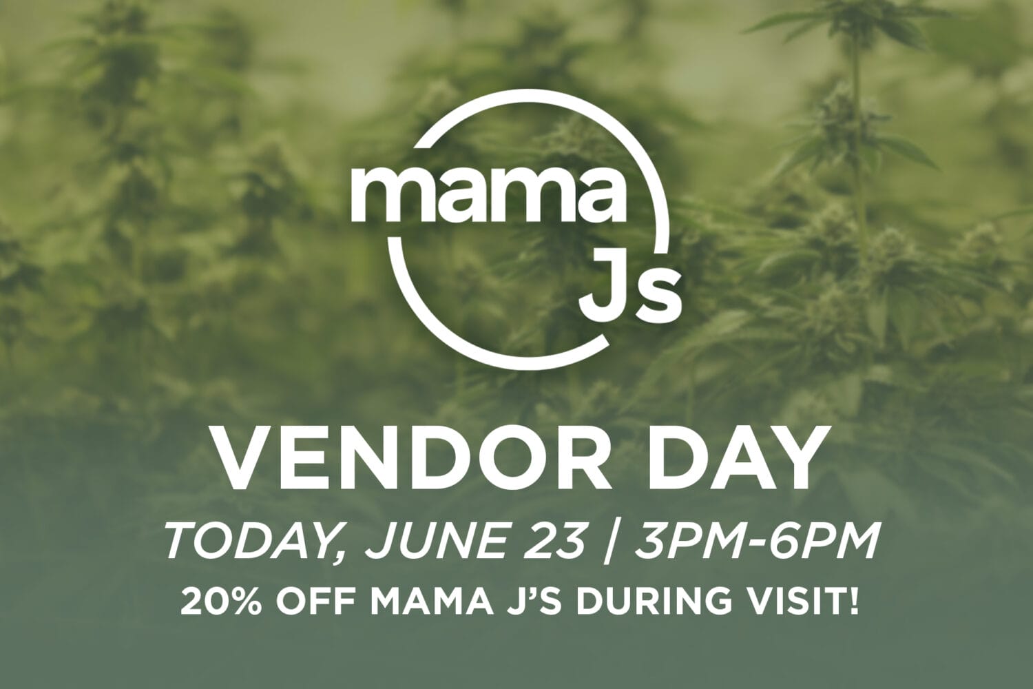 Mama J's Vendor Day 6-23