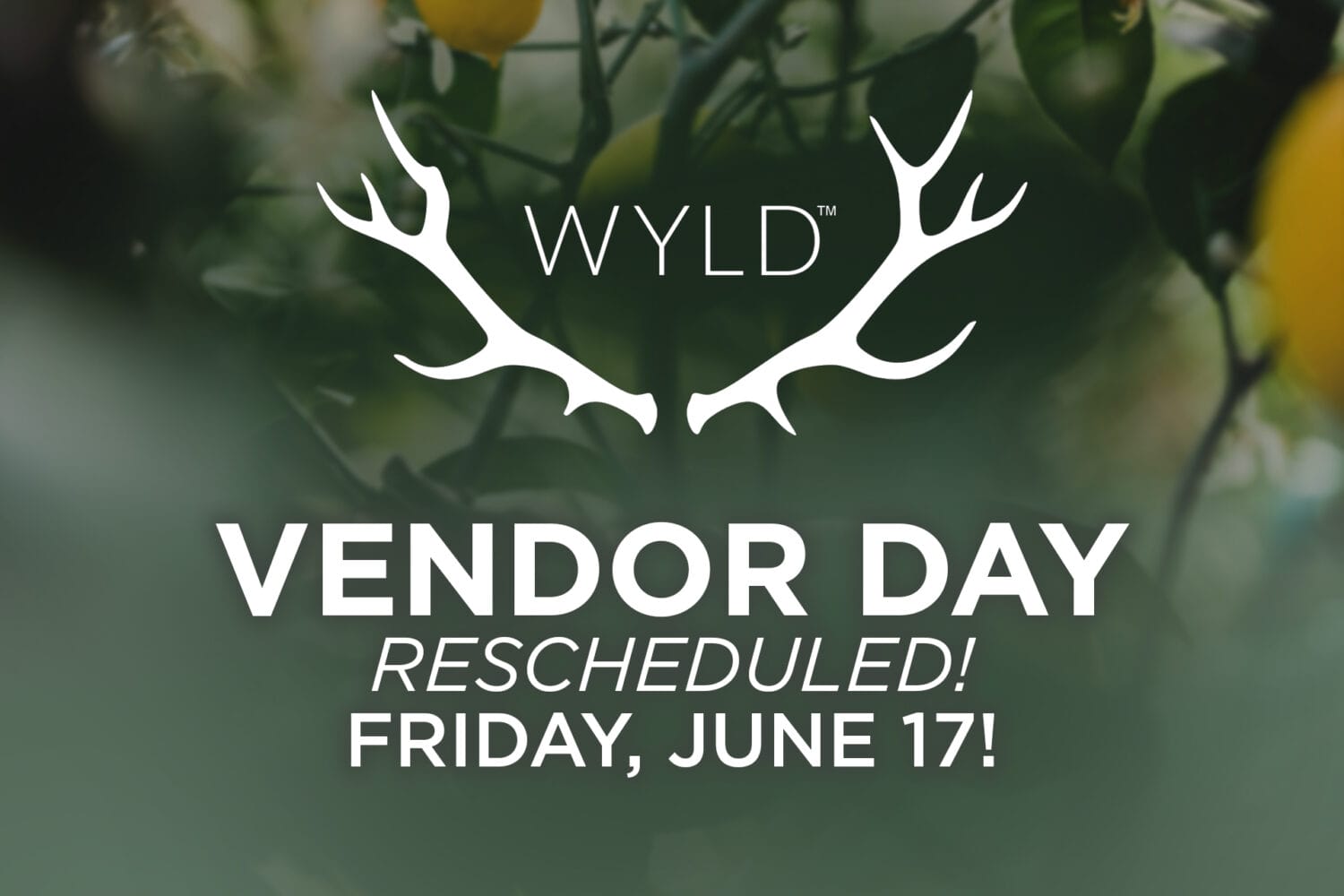 Wyld Vendor Day 2 Teaser