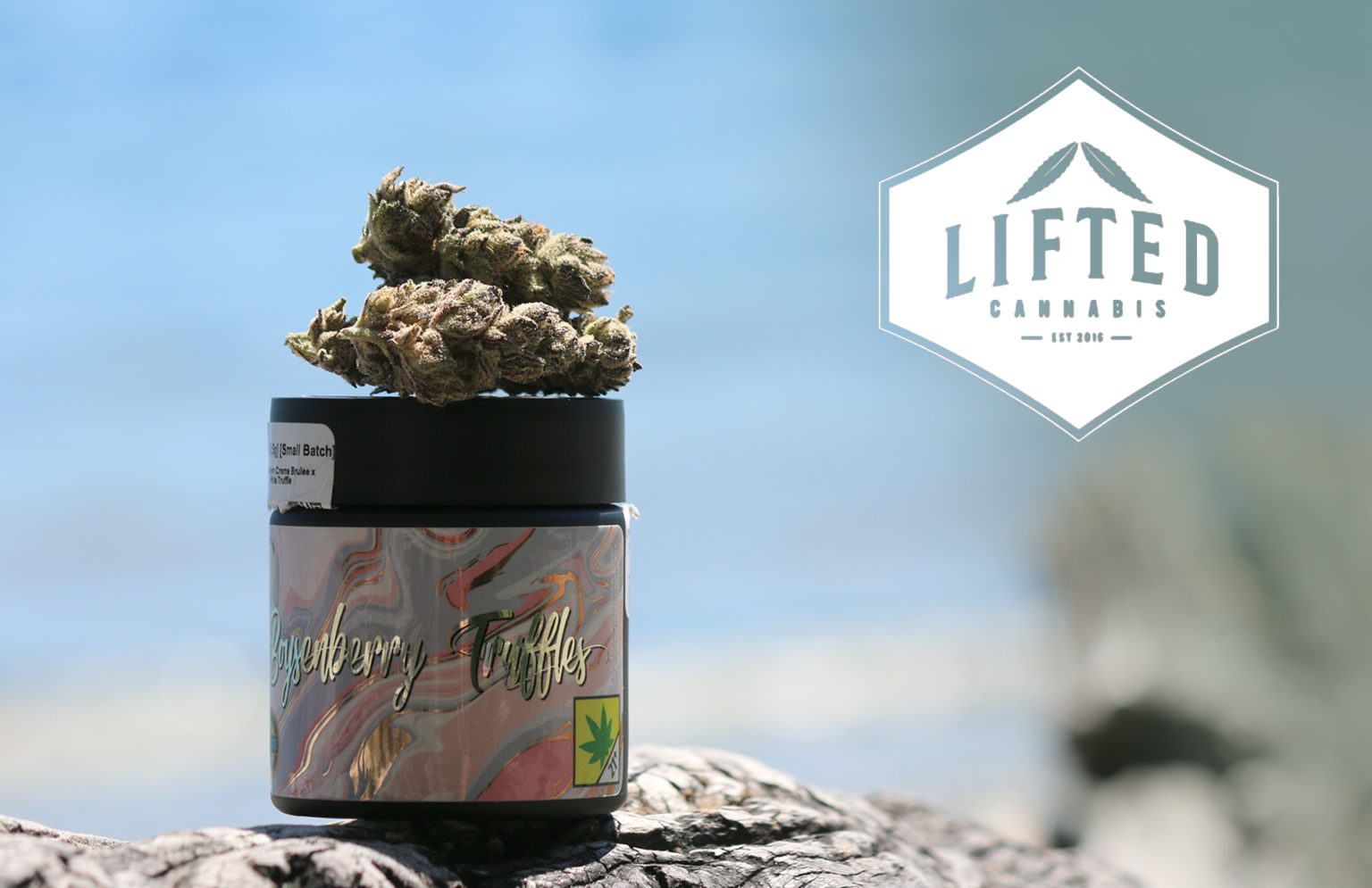 Featured Strain Boysenberry Creme Brulee from Lifted Cannabis! Agate