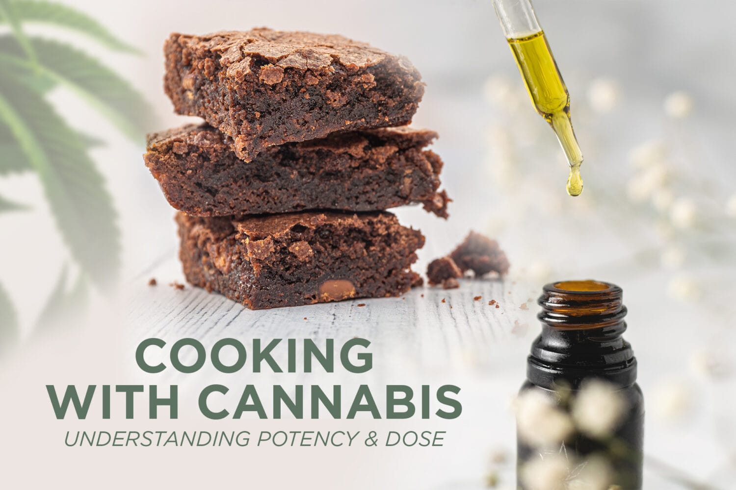 Cooking With Cannabis Blog Header