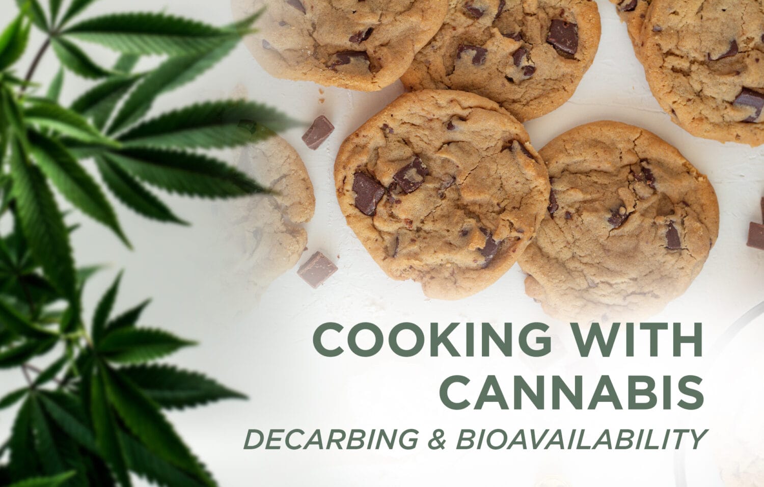 Cooking with Cannabis Part 2 Header