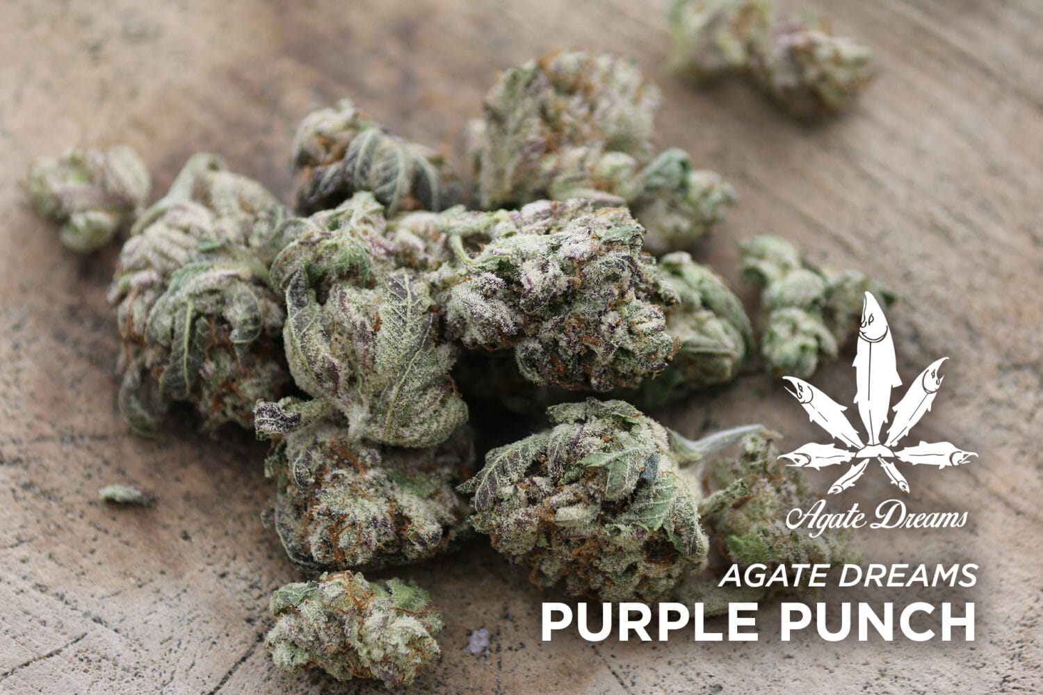 Purple Punch 2