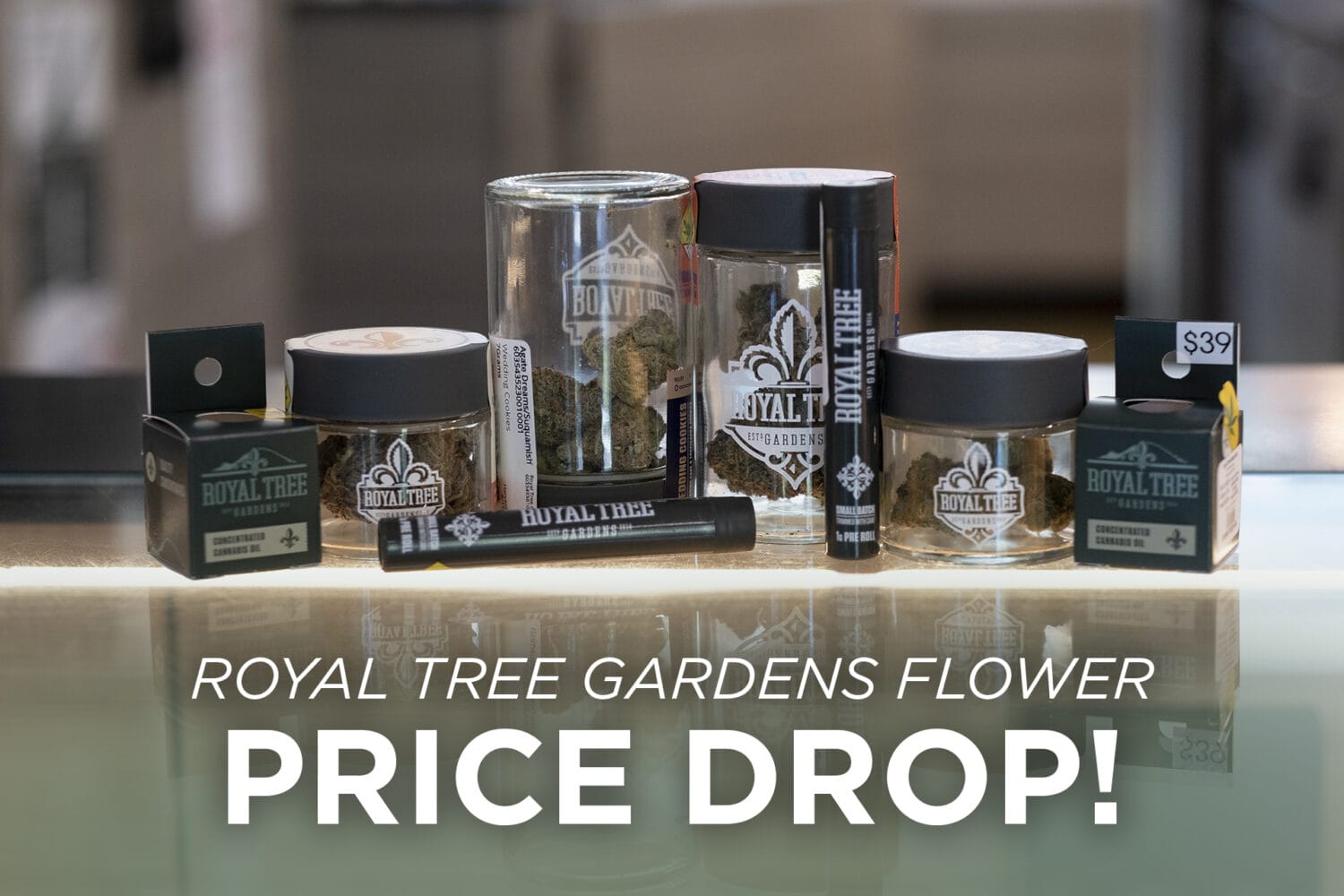 Royal Tree Price Drop