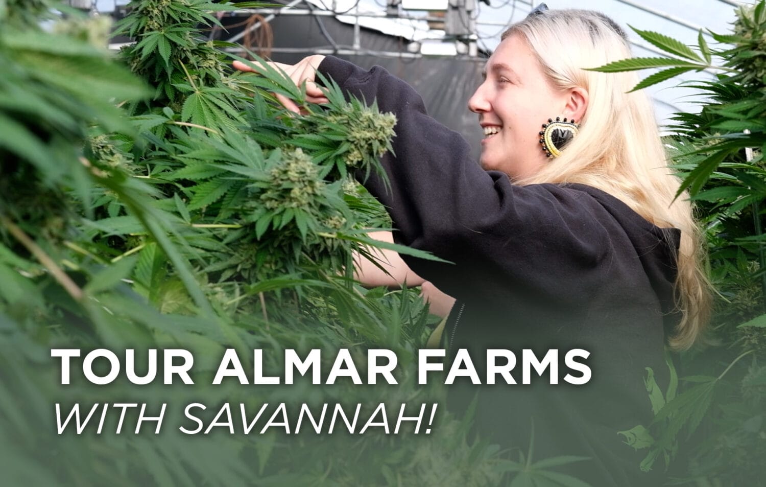 Amar Farms Tour Header