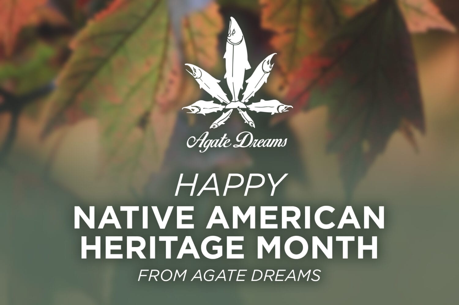 Native American Heritage Month