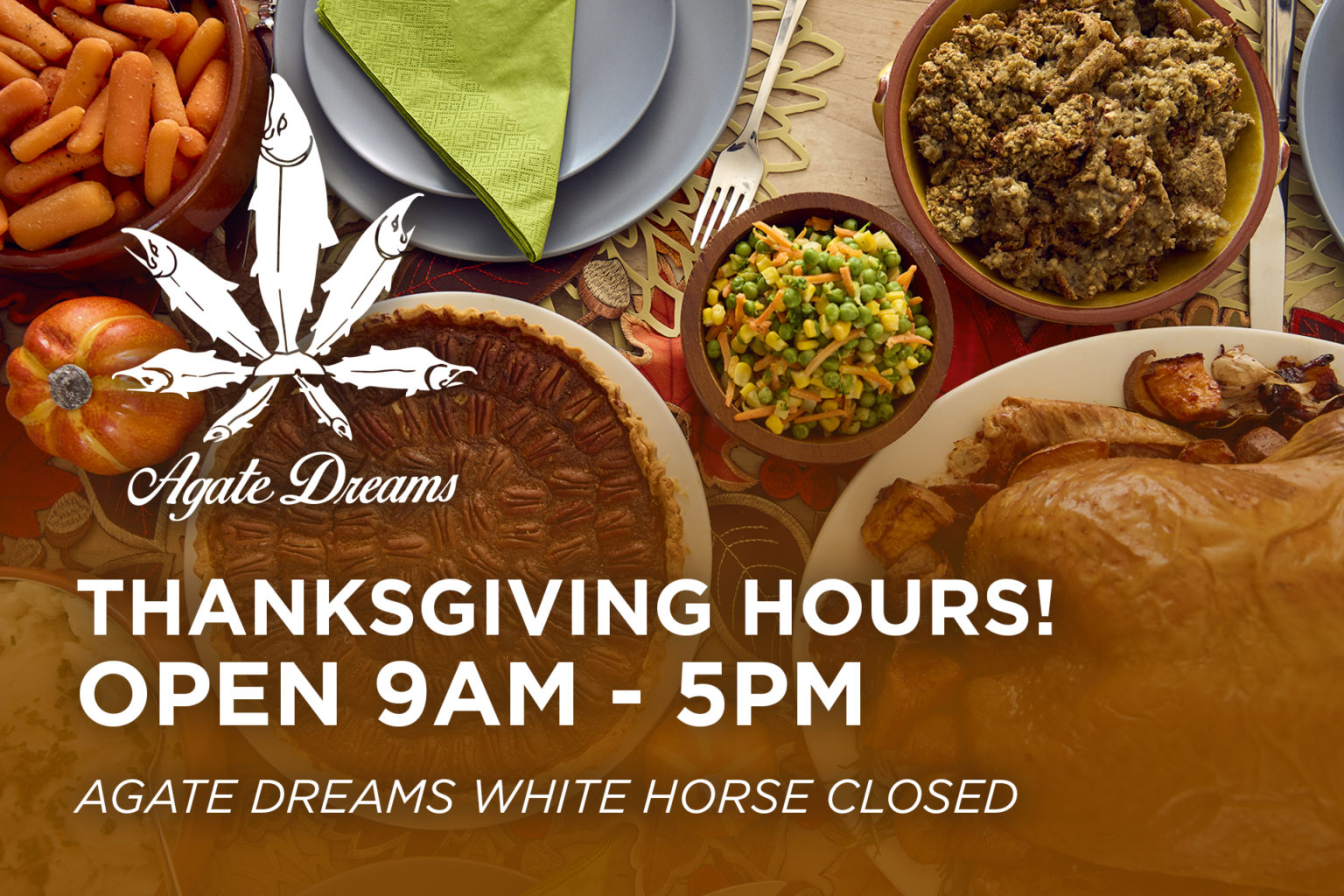 Thanksgiving Hours at Agate Dreams Suquamish! Agate Dreams