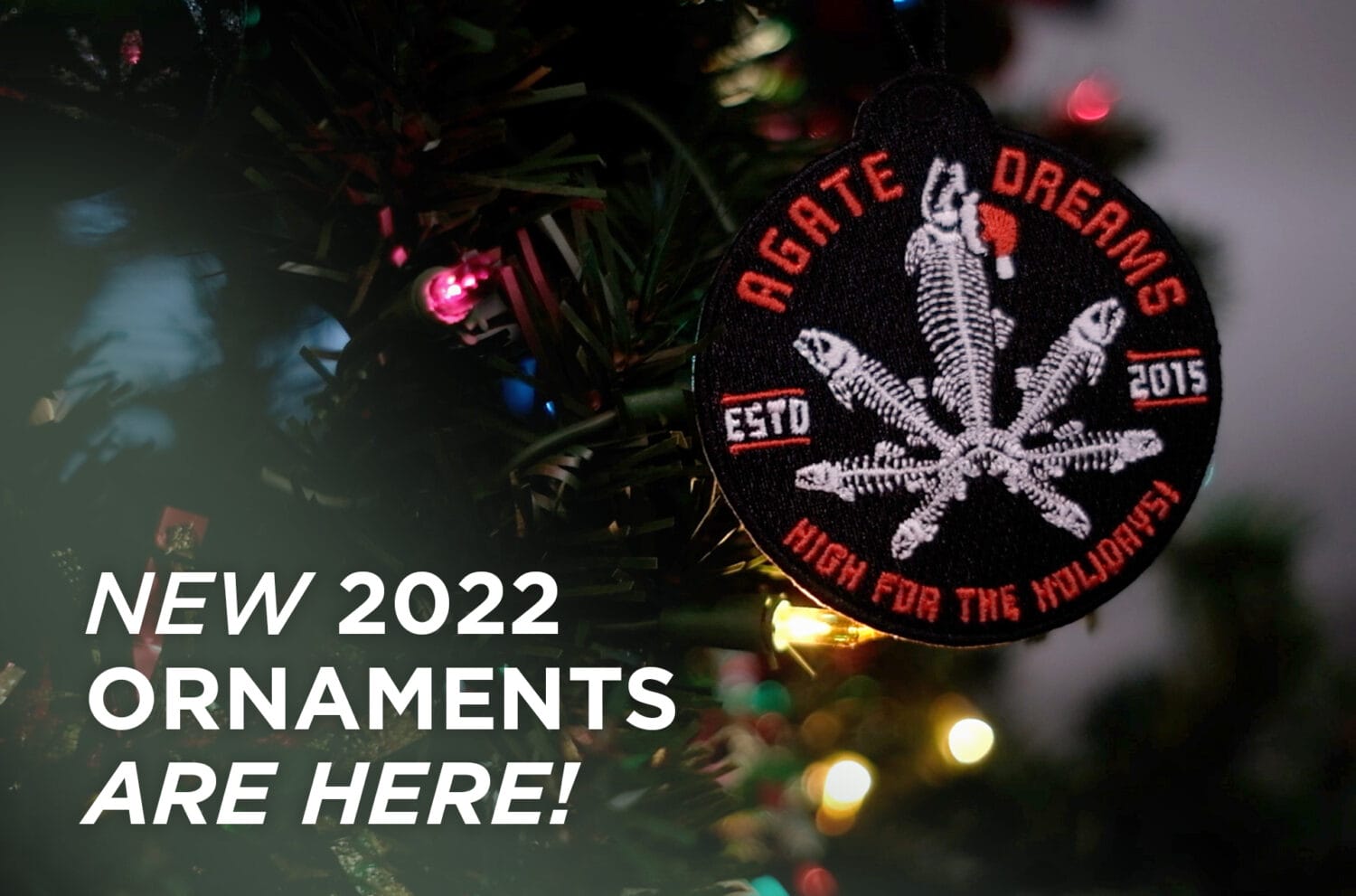 2022 Ornaments