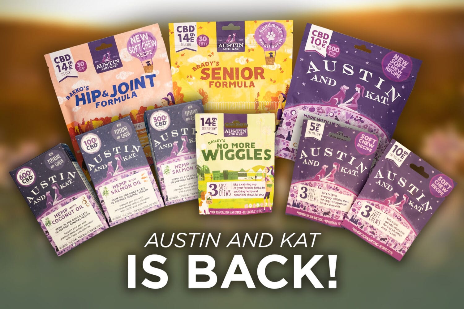 Austin & Kat is Back