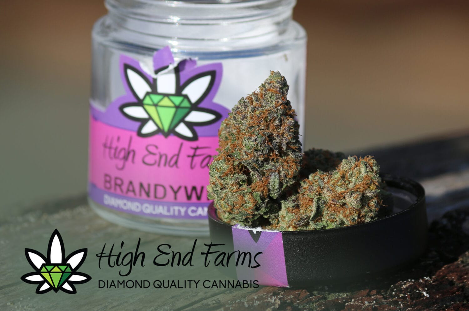 Strain Feature Brandywine