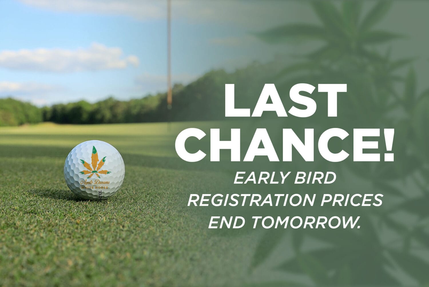 Last Chance Golf Reg