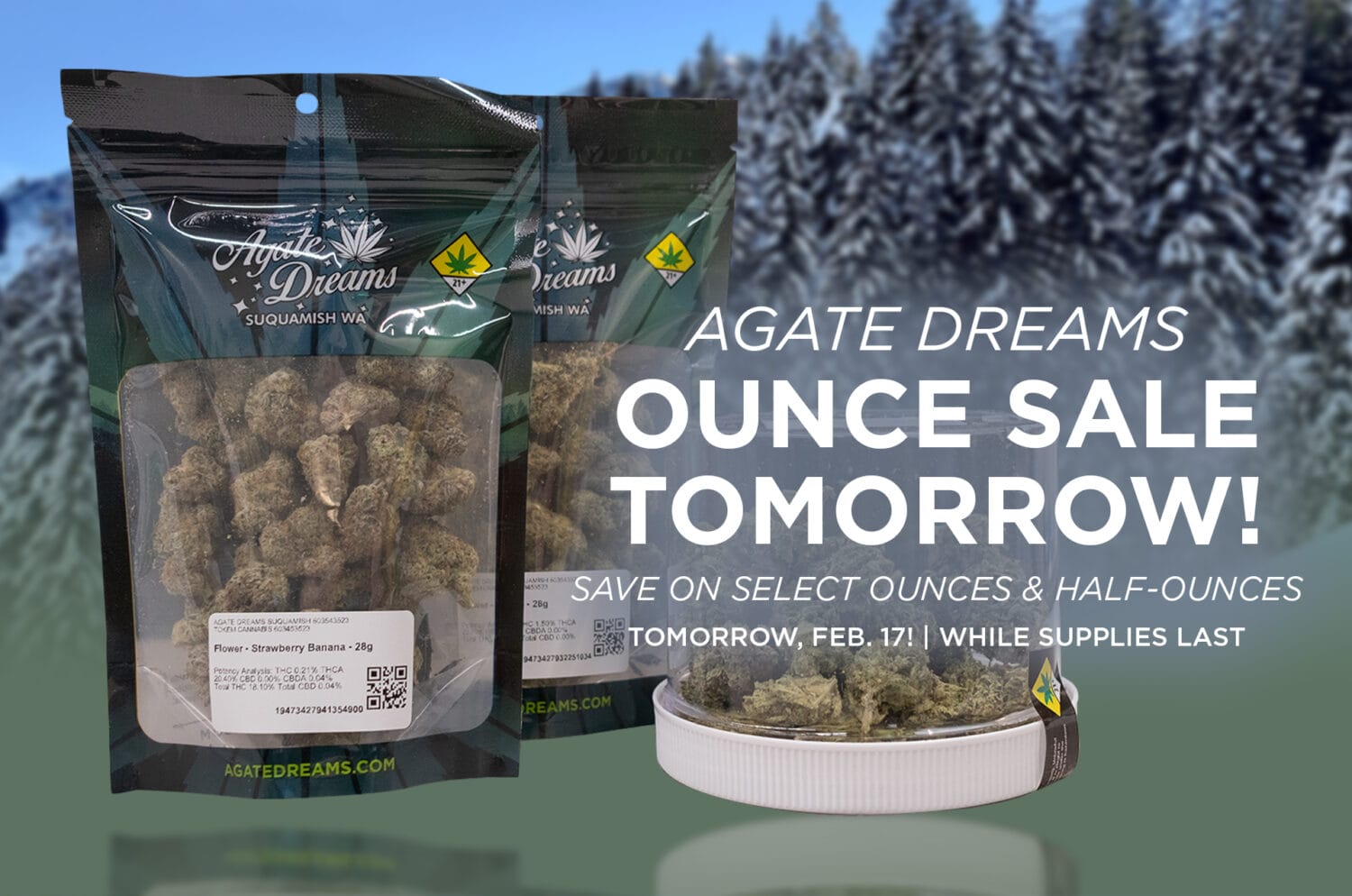 Ounce Sale Teaser 2-17 v1